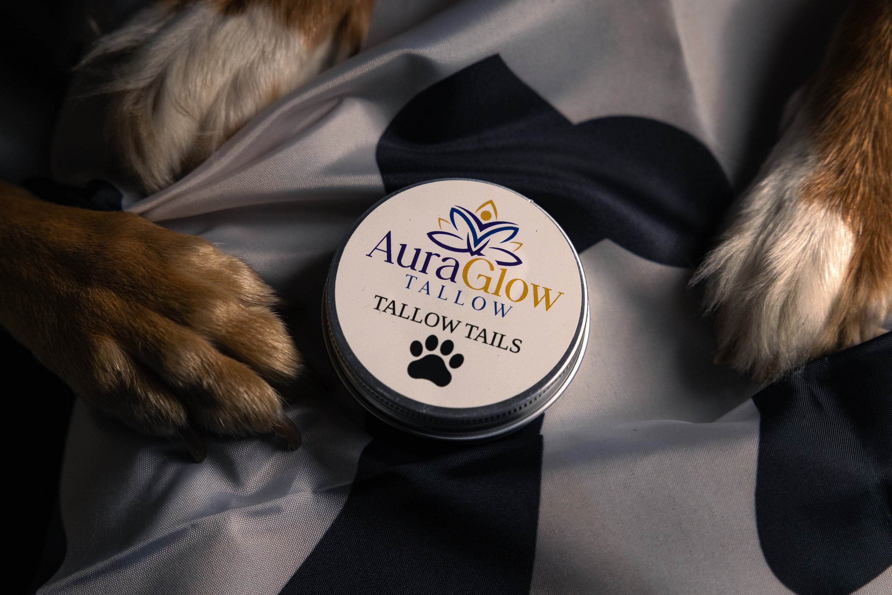 Tallow Tails | Nose, Paw & Dry Spot Balm